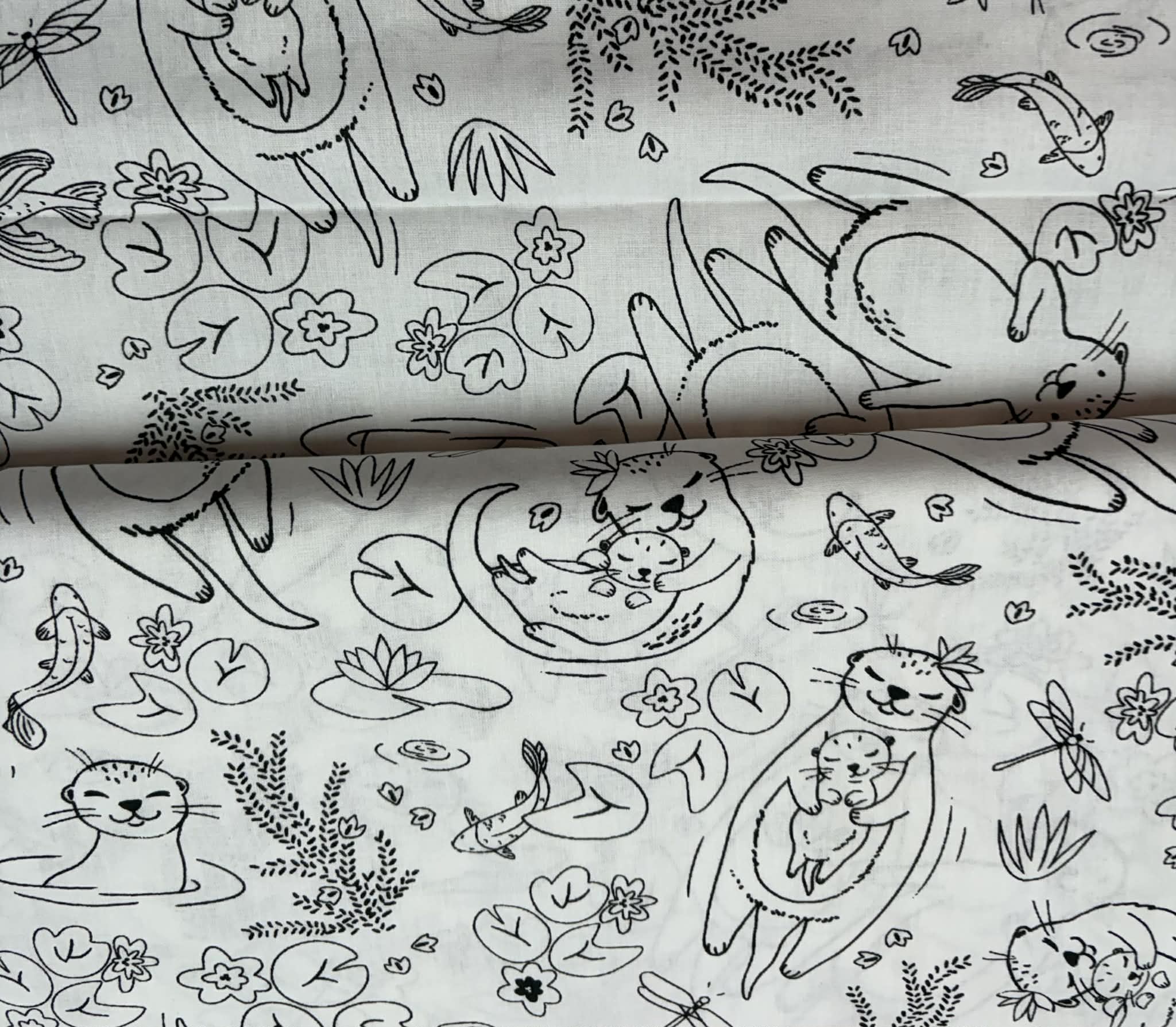 Coton à colorier loutre